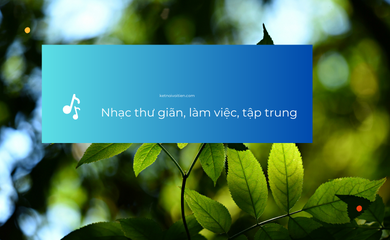 Nhạc thư giãn, tĩnh tâm làm việc