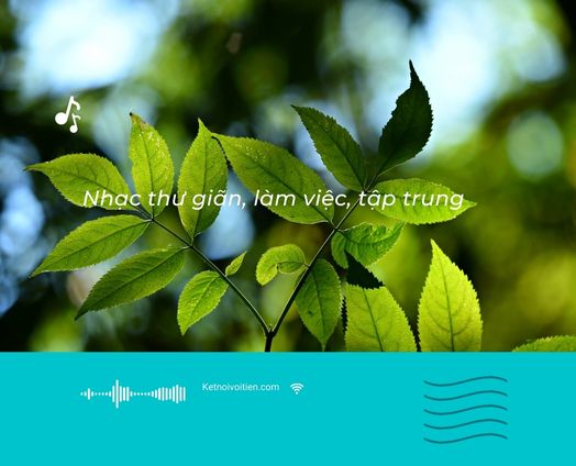 Nhạc thư giãn, tĩnh tâm làm việc