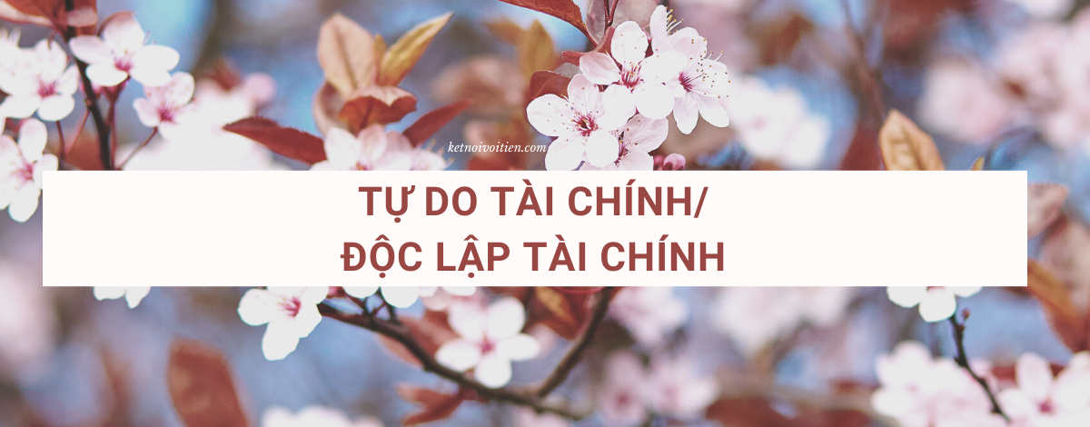Tự do tài chính/ Độc lập tài chính