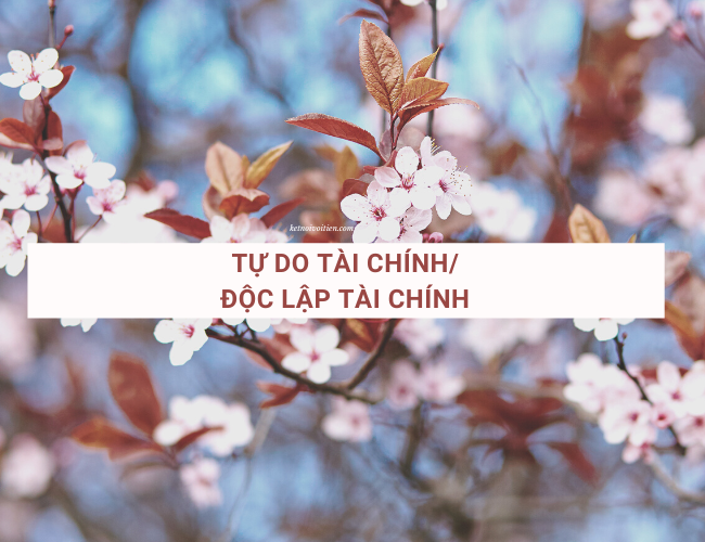Tự do tài chính/ Độc lập tài chính