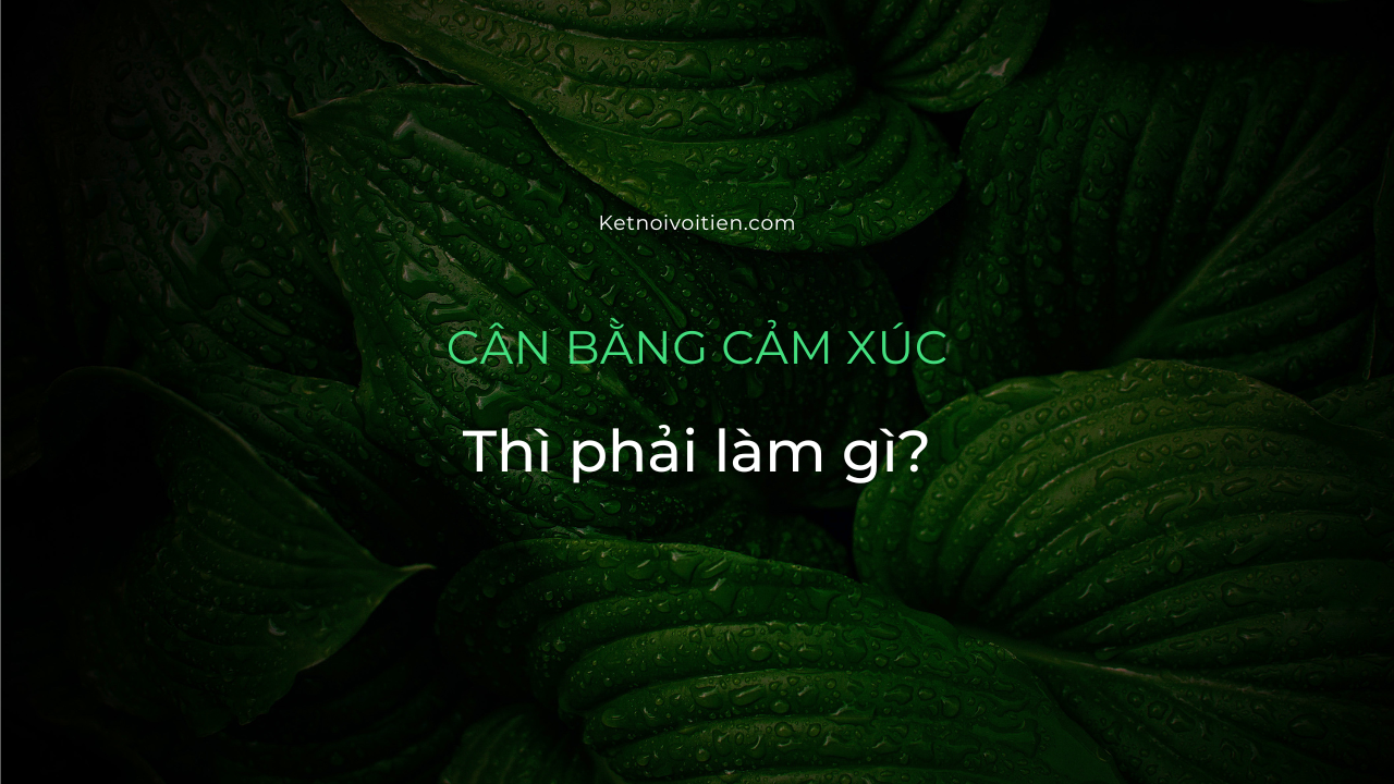 Muốn cân bằng cảm xúc thì cần phải làm gì?