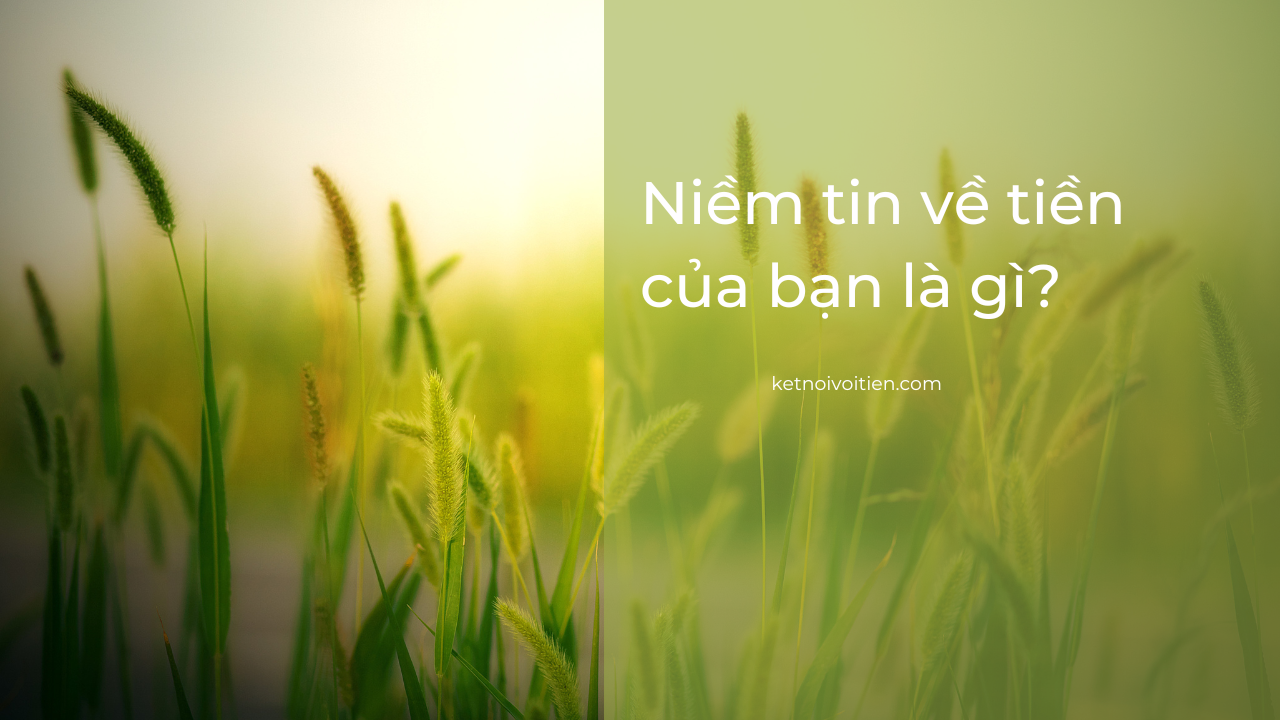 Niềm tin về tiền của bạn là gì?
